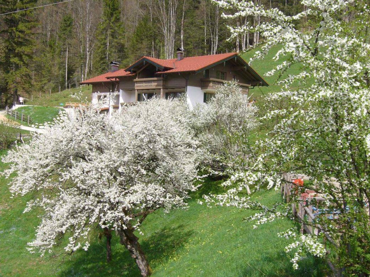 Haus Eicher Schneizlreuth Exteriör bild